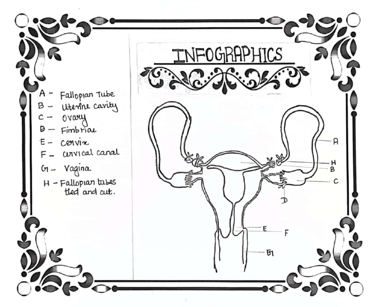 Reproductive Health – Saitech Informatics