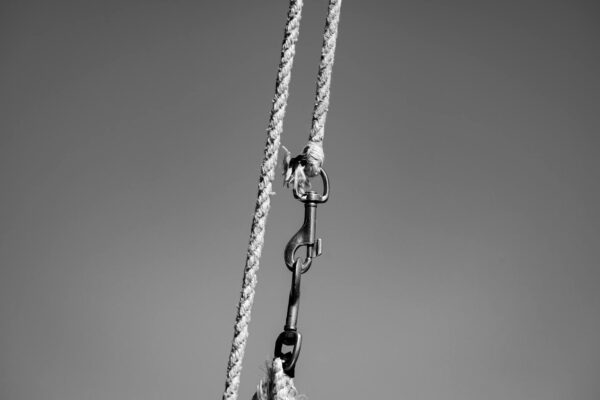 close up of hook and ropes in black and white