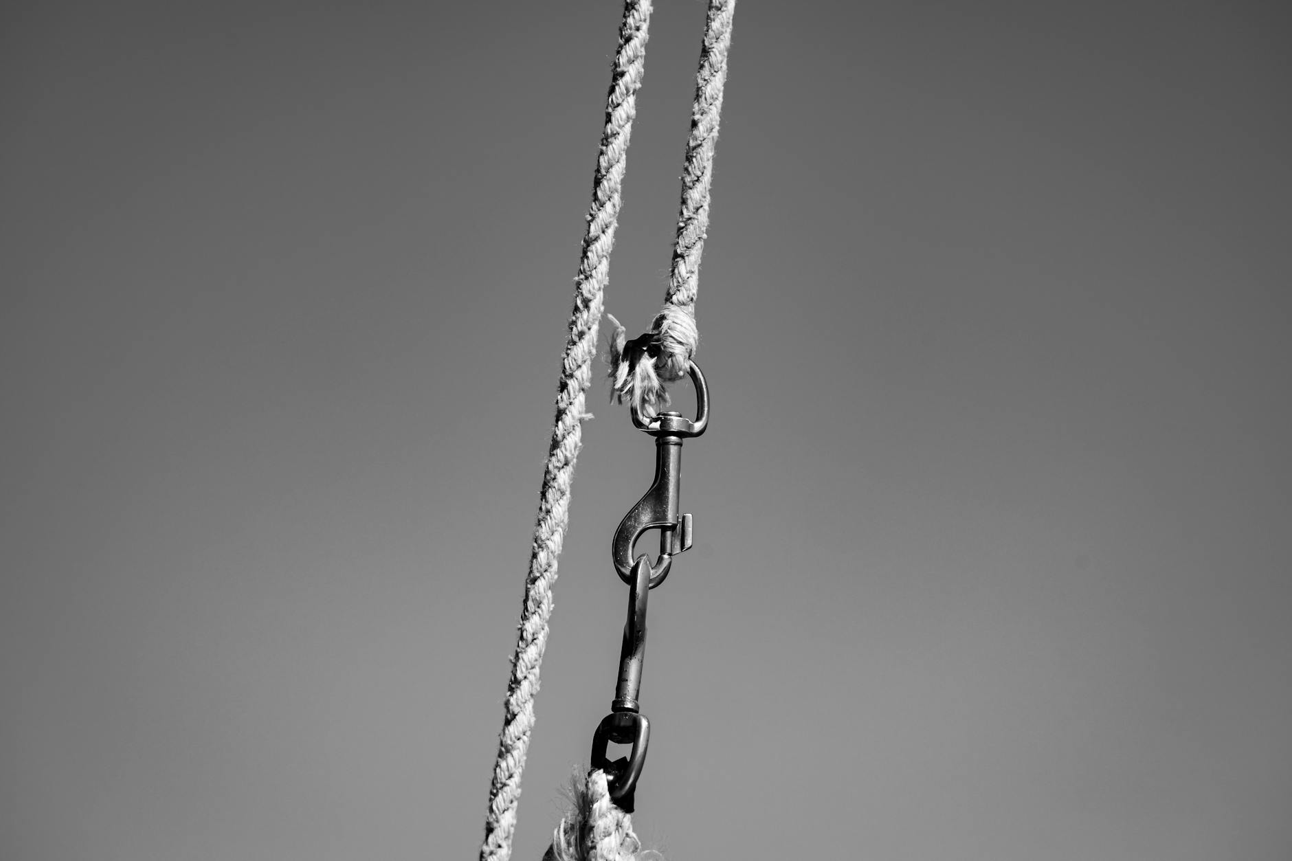 close up of hook and ropes in black and white